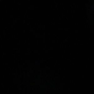 Meet your Posher, Thea